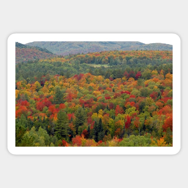 Fall landscape Sticker by dltphoto